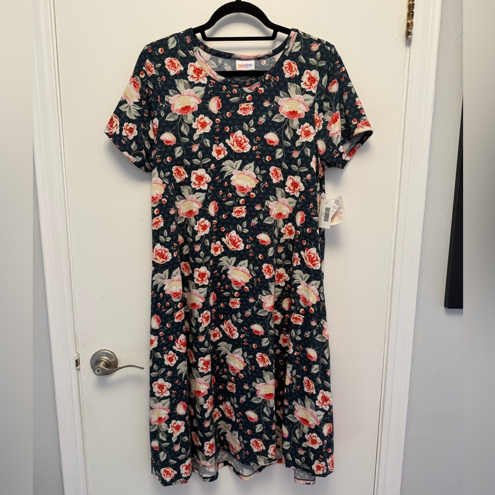 LuLaRoe Floral Dress with Pink and Cream Accents
